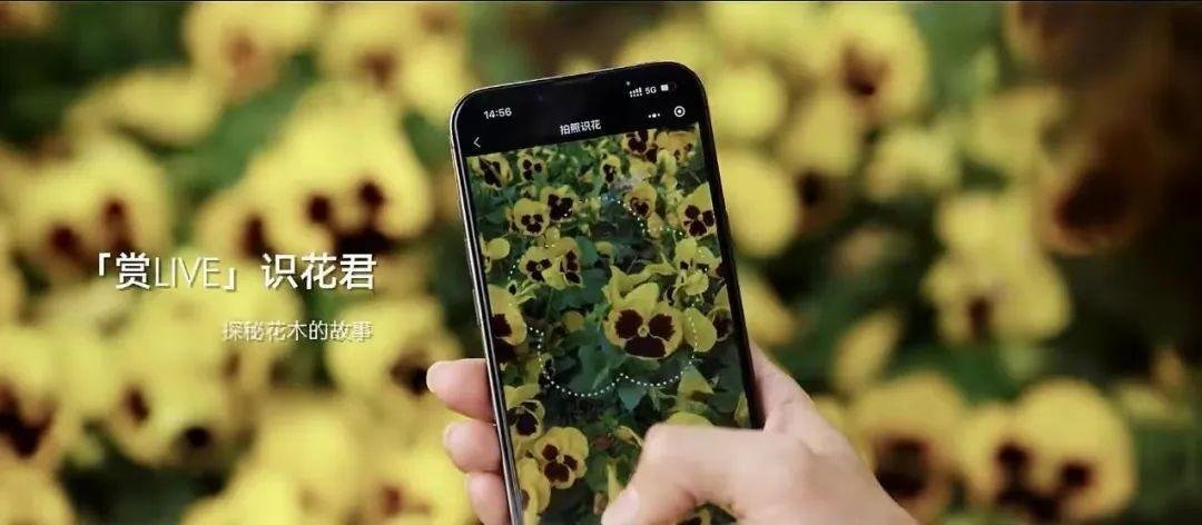 引爆全城焦点！这个项目定义了湾区智慧社区！九游会J9 J9九游会(图5)