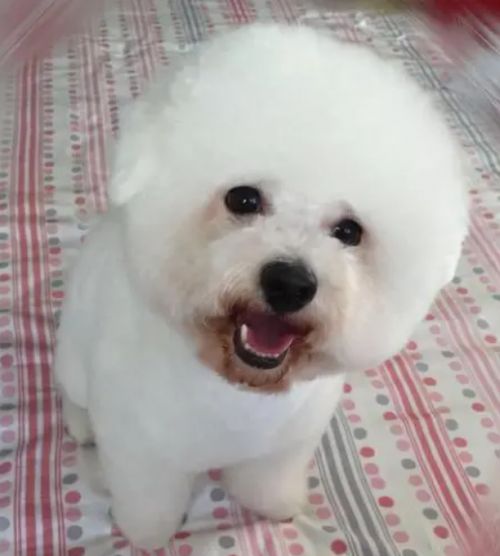 过敏原怎么去除小妙招 消除过敏源最好方法九游会J9 J9九游会(图4)