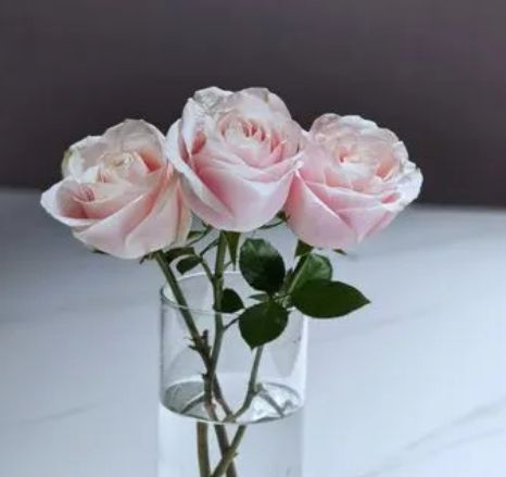 过敏原怎么去除小妙招 消除过敏源最好方法九游会J9 J9九游会