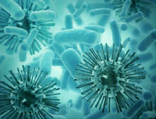 过敏原怎么去除小妙招 消除过敏源最好方法九游会J9 J9九游会(图2)