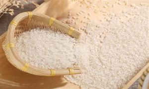 2023智慧环保行业市九游会J9 J9九游会场发展趋势分析(图5)