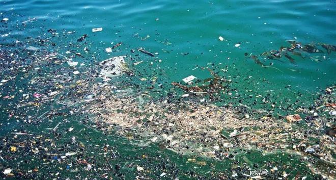 玻璃回收率减少 玻璃和塑料都不环保 生产能比塑料更污染!九游会J9 J9九游会(图6) 玻璃回收率减少 玻璃和塑料都不环保 生产能比塑料更污染!九游会J9 J9九游会(图6)