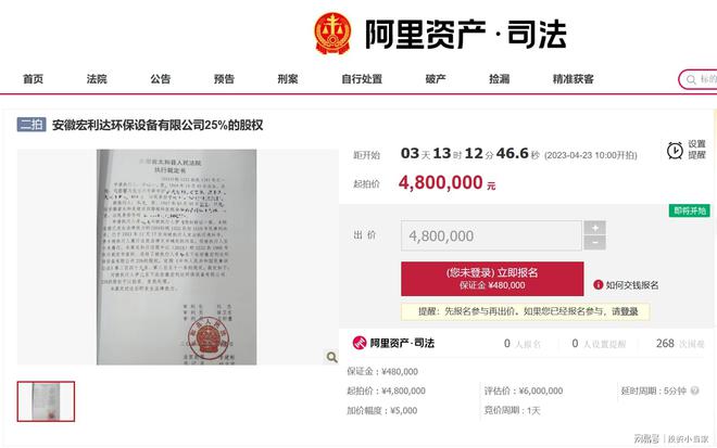 J9九游会 九游会J9安徽宏利达环保设备有限公司25%的股权将以480万元起拍