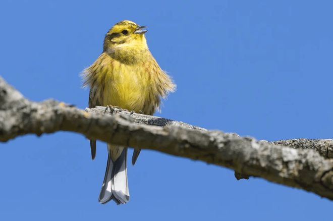 J9九游会 九游会J9科创50期权主要分部是哪些行业？怎么分析？