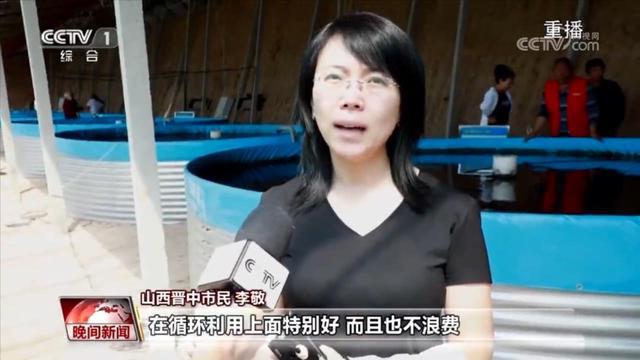 “鱼菜共生九游会J9 J9九游会”循环作业 环保又智能(图2)