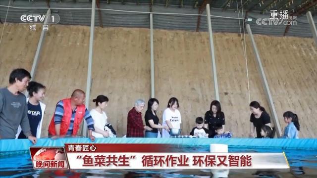 “鱼菜共生九游会J9 J9九游会”循环作业 环保又智能