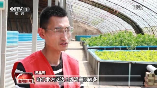 “鱼菜共生九游会J9 J9九游会”循环作业 环保又智能(图3)