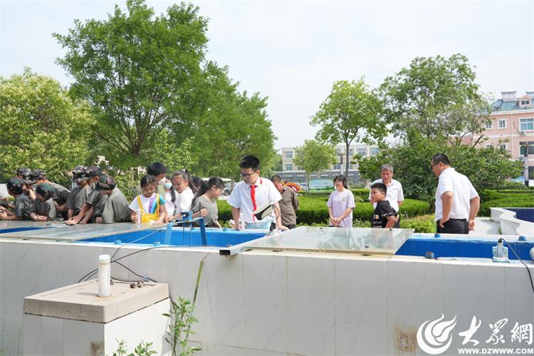 “清清水源”探秘之旅 齐河县环保设施向公众开放_大众网J9九游会 九游会J9(图3)