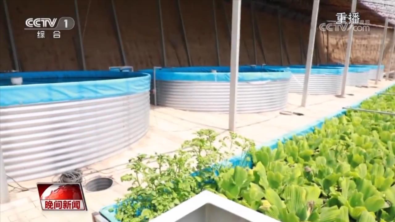 【青春匠心】“鱼菜共生”循环作业 环保又智能J9九游会 九游会J9(图5)