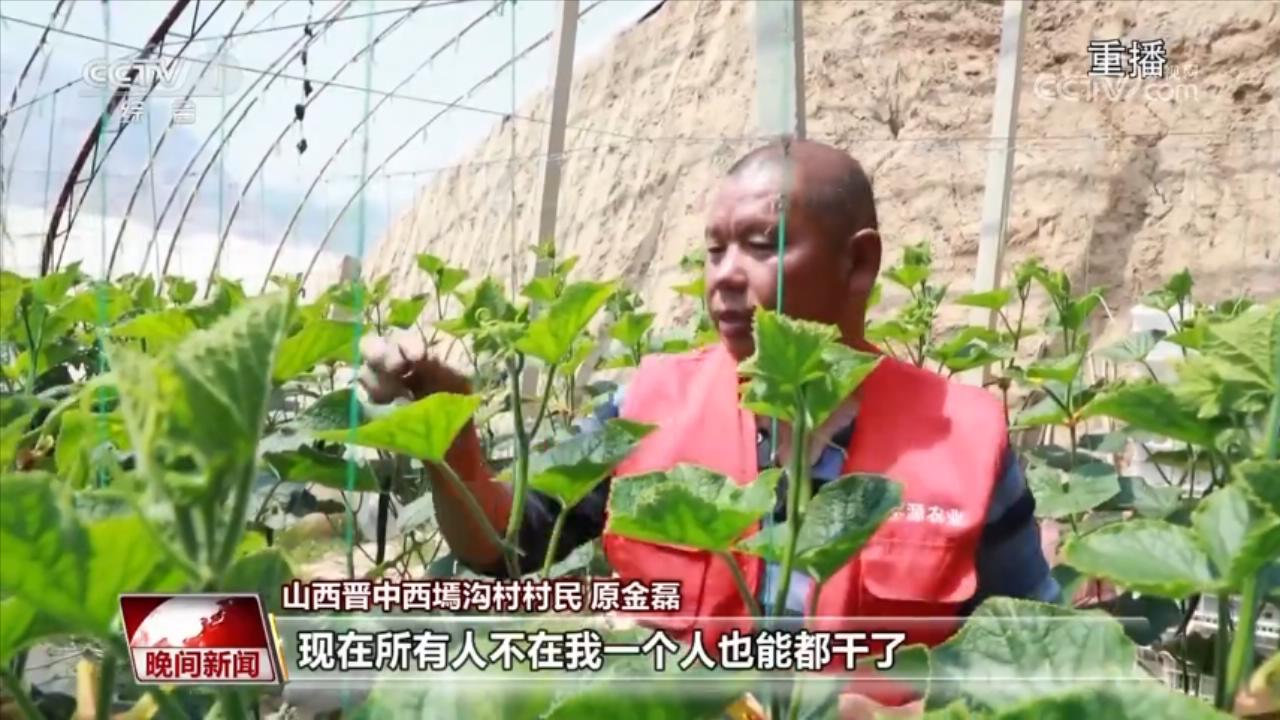 【青春匠心】“鱼菜共生”循环作业 环保又智能J9九游会 九游会J9(图6)