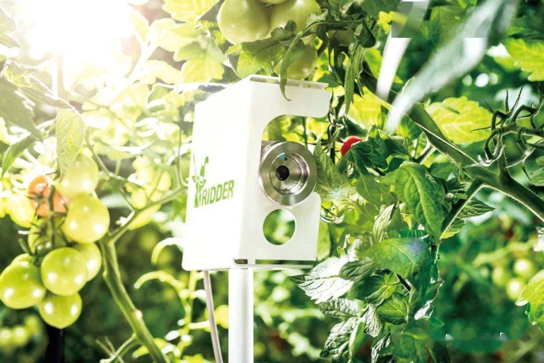 J9九游会 九游会J9智能环保成为园艺设施资材最热主题 “第25届国际花展”专题(图4)