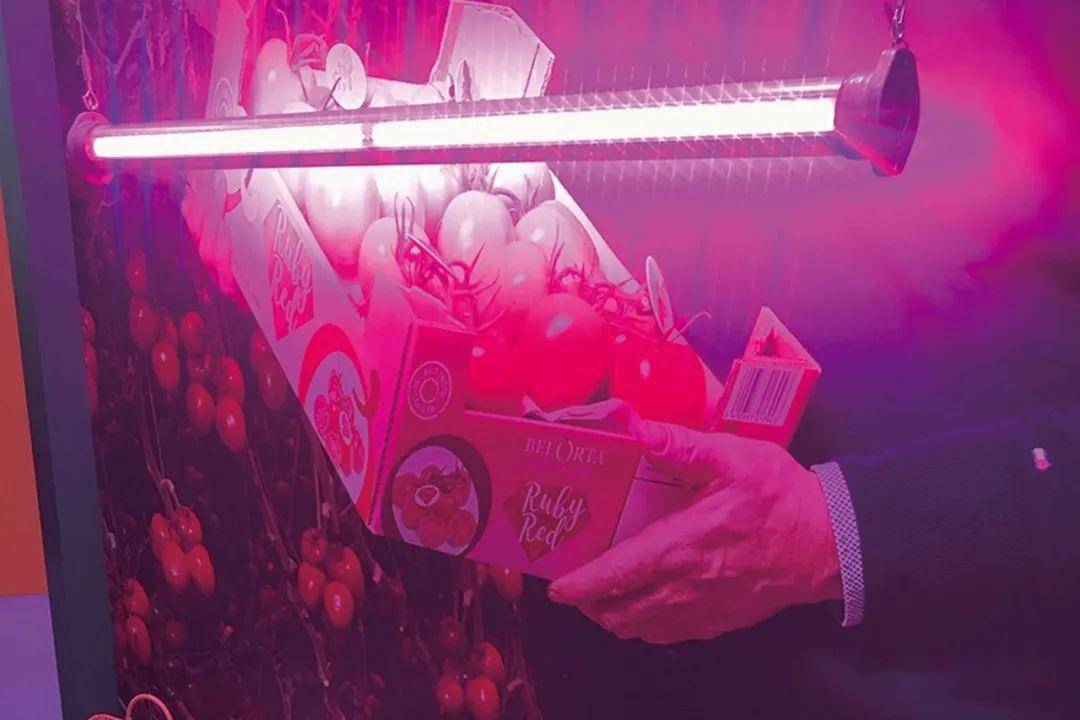 J9九游会 九游会J9智能环保成为园艺设施资材最热主题 “第25届国际花展”专题(图3)