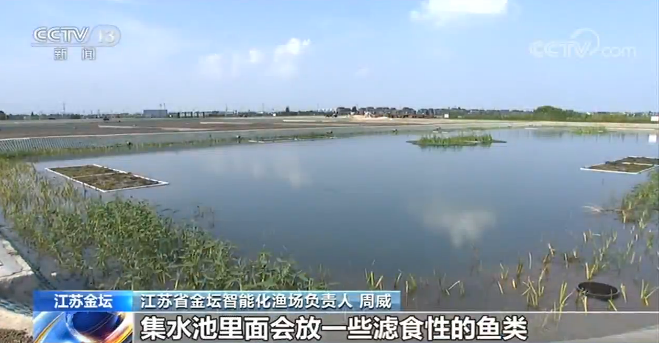 【绿色发展 生态优先】江苏金坛：打造智能化渔场 减排又增收J9九游会 九游会J9