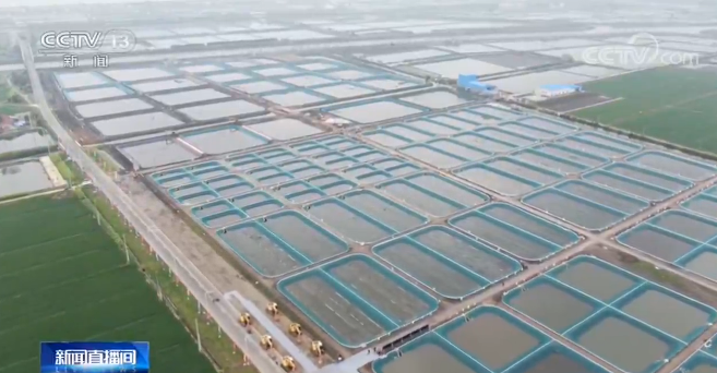 【绿色发展 生态优先】江苏金坛：打造智能化渔场 减排又增收J9九游会 九游会J9(图2)