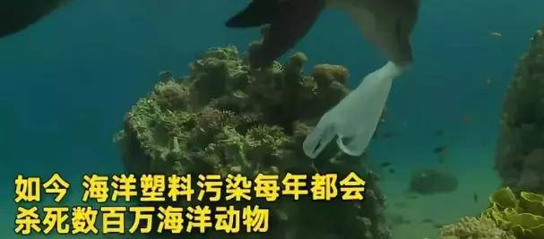 九游会J9 J9九游会火爆全网的环保袋自助机靠谱吗？一文带你了解其中内幕！(图5)