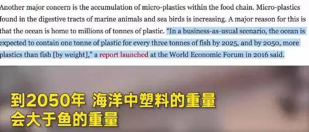 九游会J9 J9九游会火爆全网的环保袋自助机靠谱吗?一文带你了解其中内幕!