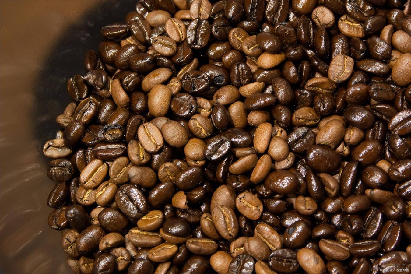 智能垃圾分类:保护环境保卫地球J9九游会 九游会J9