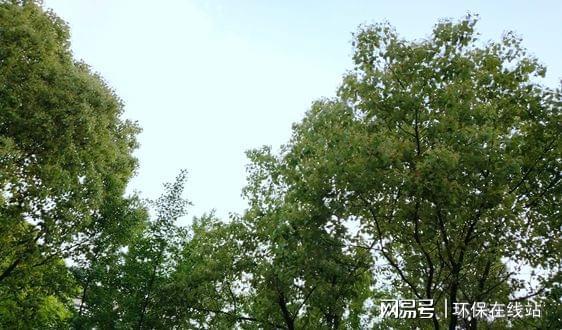 J9九游会 九游会J9从2021世环会【国际环保展】洞察智慧环保发展新趋势