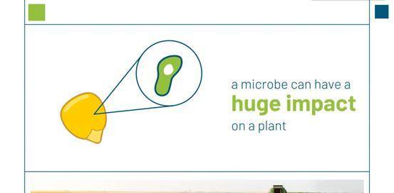 最具前途的7种环保技术正在悄悄改变我们的生活前哨J9九游会 九游会J9(图5) 最具前途的7种环保技术正在悄悄改变我们的生活前哨J9九游会 九游会J9(图5)