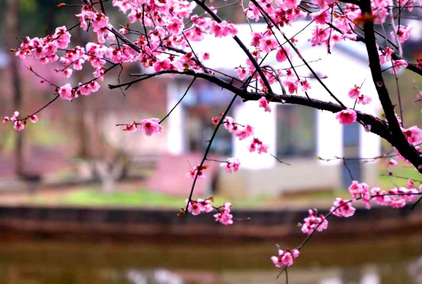 新型智能环保渣土车城区全覆盖 长沙渣土运输“升级换代”｜交通资讯九游会J9 J9九游会(图7)