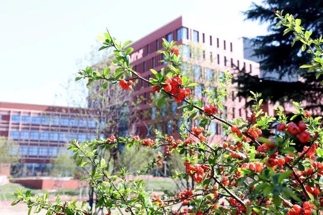 J9九游会 九游会J9青岛理工大学新增工程审计、环保设备工程、机械三个本科专业