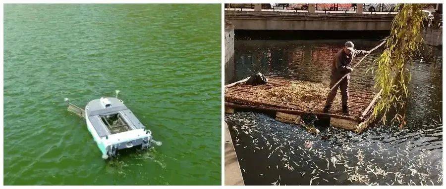 J9九游会 九游会J9落地案例 欧卡 SmurfTitan无人清洁船驶入万千碧波(图2)