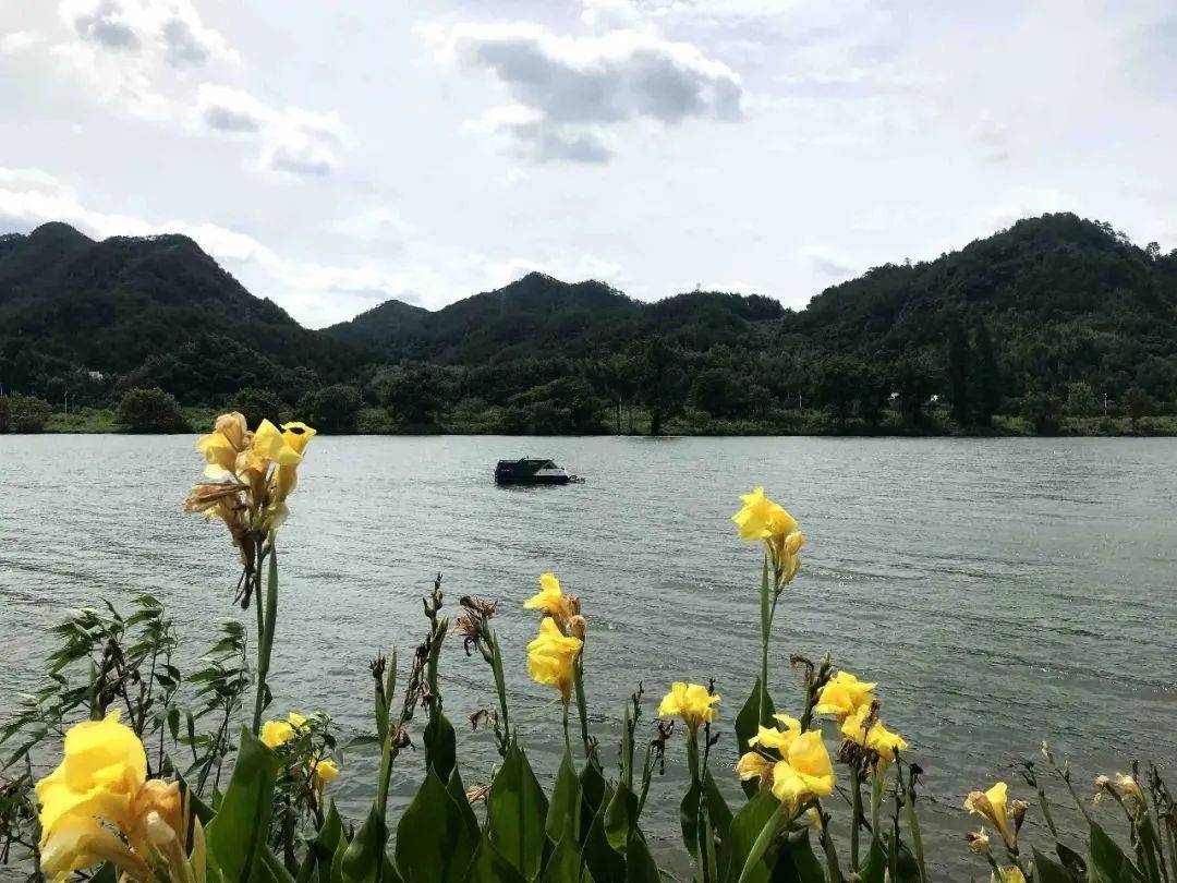 J9九游会 九游会J9落地案例 欧卡 SmurfTitan无人清洁船驶入万千碧波(图10)