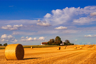 智慧城市_新华J9九游会 九游会J9网