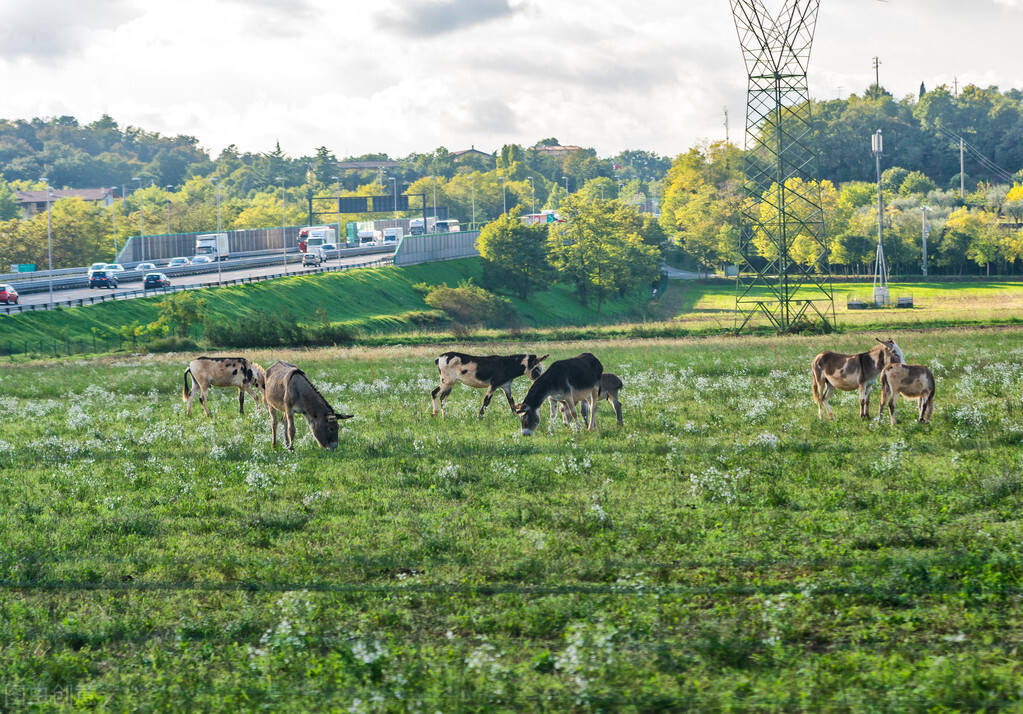 J9九游会 九游会J9中国生态环境网：数字化升级共创美好未来(图2)