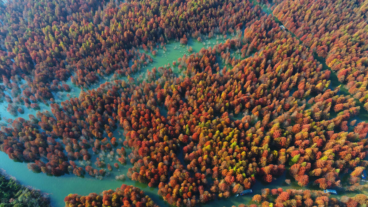 J9九游会 九游会J9中国生态环境网：数字化升级共创美好未来(图4)