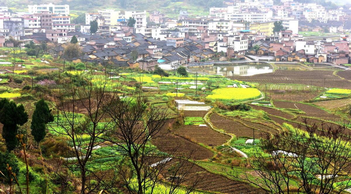 J9九游会 九游会J9中国生态环境网：数字化升级共创美好未来(图5)