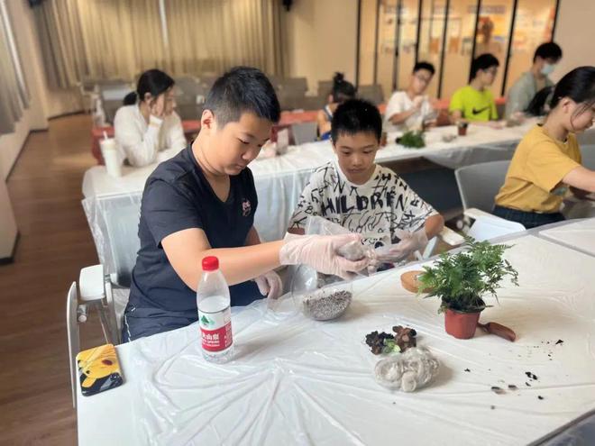 九游会J9 J9九游会培植生态环保意识一起来做手工自制苔藓生态瓶(图2)