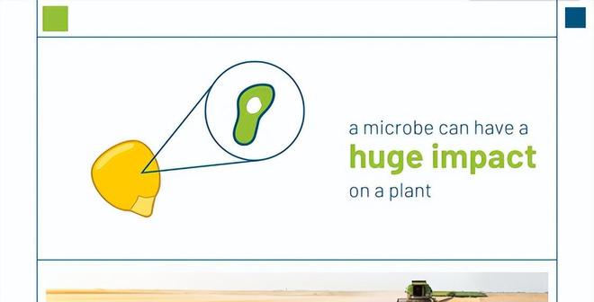 最具前途的7种环保技术正J9九游会 九游会J9在悄悄改变我们的生活｜前哨(图5)