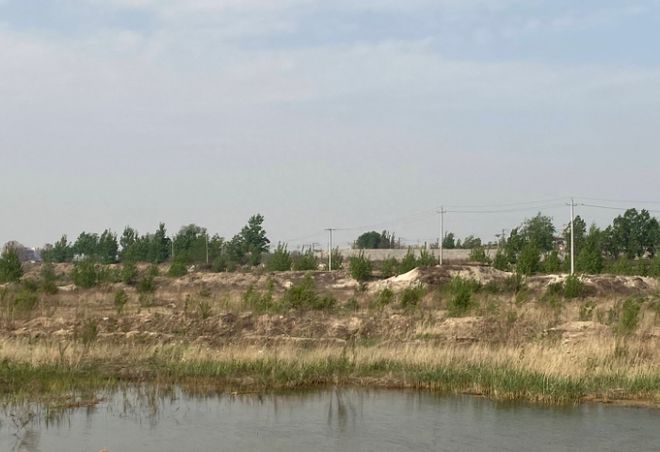 九游会J9 J9九游会沙特600亿高铁项目吓退日德中国果断出手搞定赚了还是赔了？(图6)