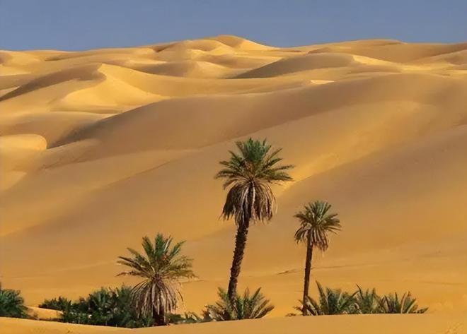 九游会J9 J9九游会沙特600亿高铁项目吓退日德中国果断出手搞定赚了还是赔了？(图5)