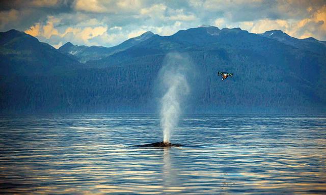 人工智能+大J9九游会 九游会J9数据 智慧环保未来很惊艳(图9)