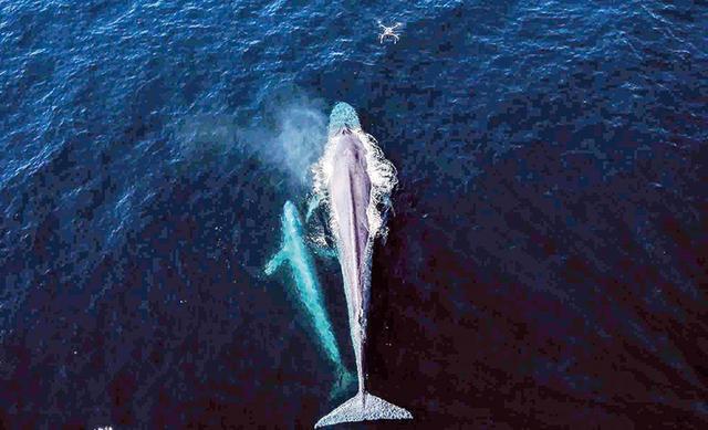 人工智能+大J9九游会 九游会J9数据 智慧环保未来很惊艳(图8)