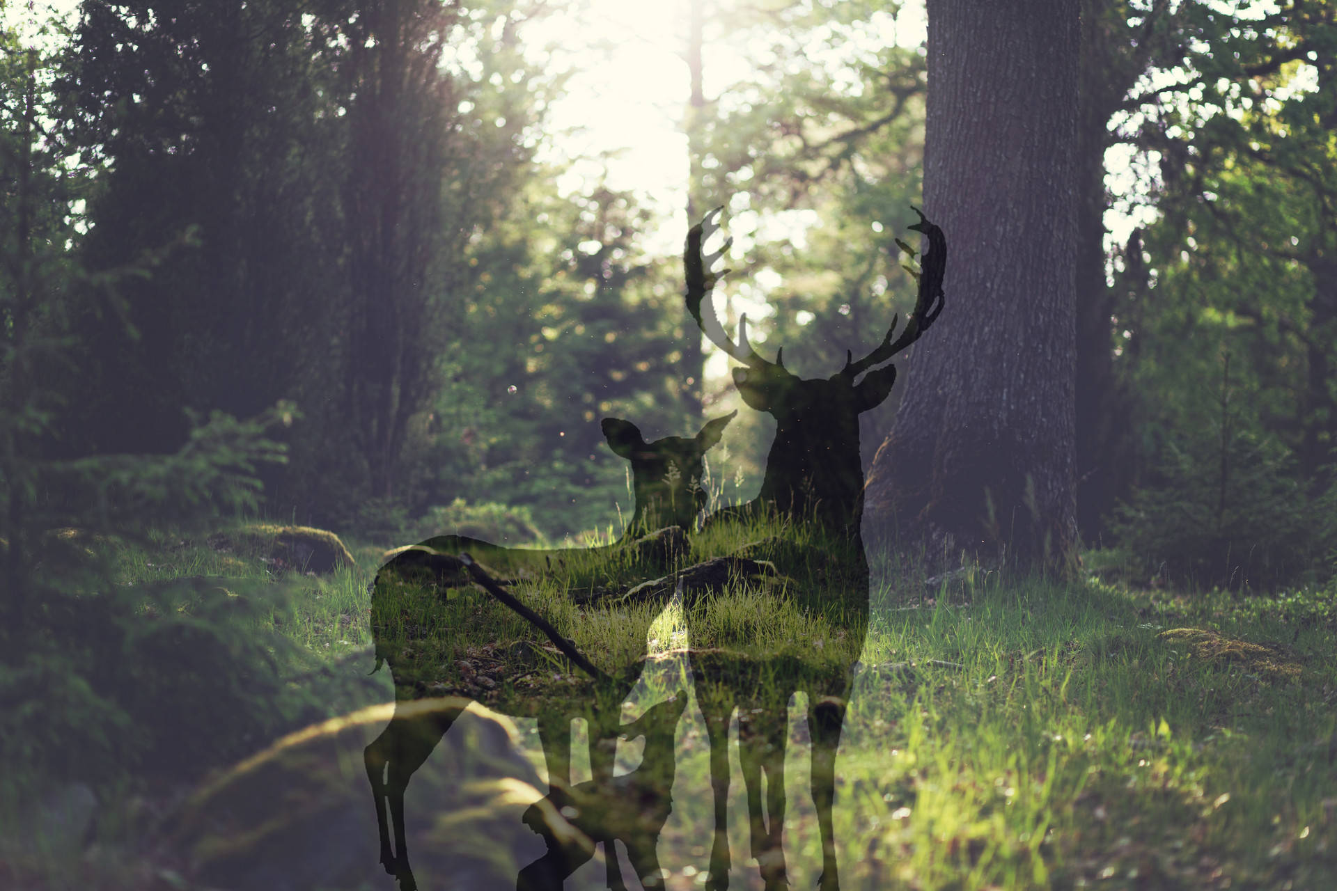 环保行业：环卫设备和服务、J9九游会 九游会J9餐厨垃圾处理等受益(图12)