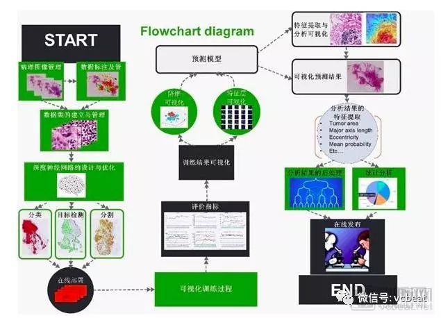 千亿规模的病理市场能否成为AI初创企业的新出口？J9九游会 九游会J9(图9)