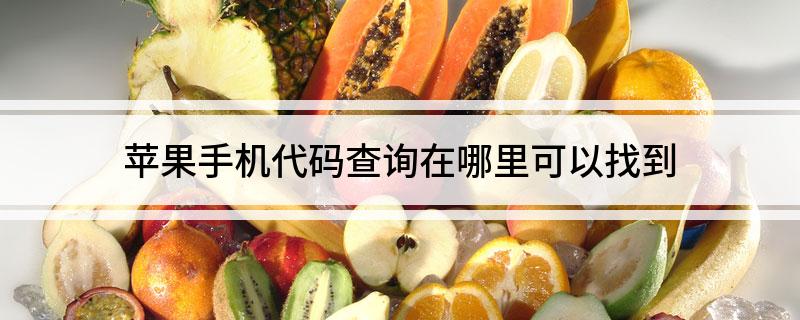 J9九游会 九游会J9苹果手机代码查询在哪里可以找到