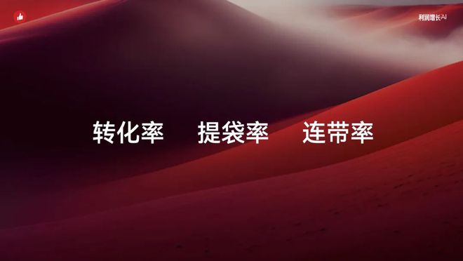 智能化消费者运营助力利润增长｜2024有赞春季九游会J9 J9九游会发布会(图5)