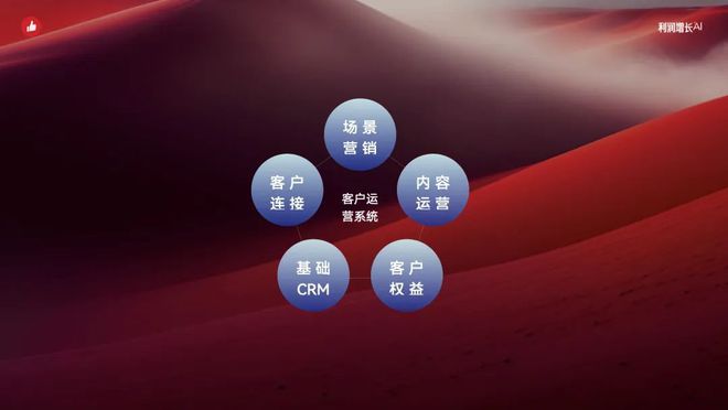 智能化消费者运营助力利润增长｜2024有赞春季九游会J9 J9九游会发布会(图14)