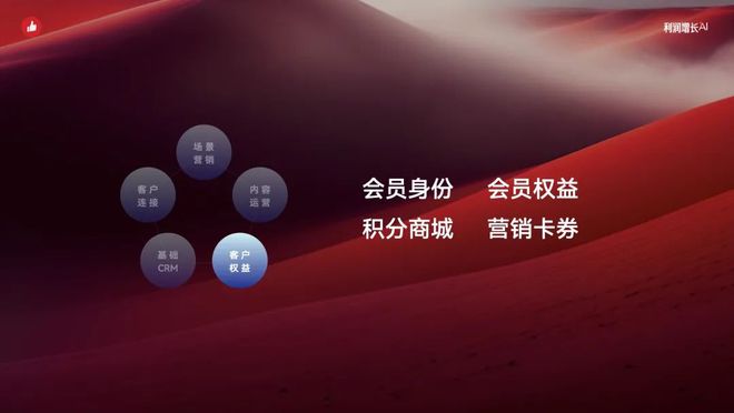 智能化消费者运营助力利润增长｜2024有赞春季九游会J9 J9九游会发布会(图16)