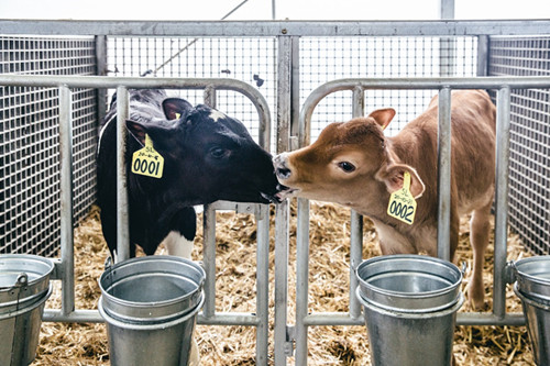 人工智能九游会J9 J9九游会_中国网(图9) 人工智能九游会J9 J9九游会_中国网(图9)