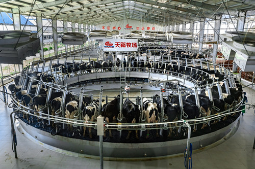 人工智能九游会J9 J9九游会_中国网(图10) 人工智能九游会J9 J9九游会_中国网(图10)