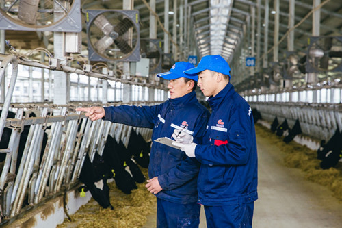 人工智能九游会J9 J9九游会_中国网(图12) 人工智能九游会J9 J9九游会_中国网(图12)