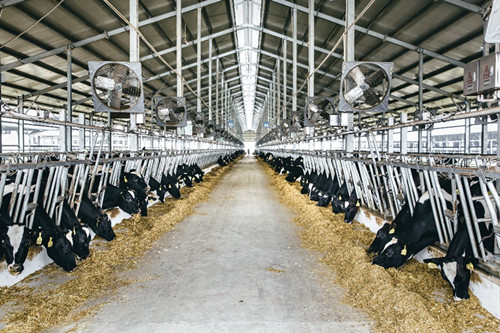 人工智能九游会J9 J9九游会_中国网(图8) 人工智能九游会J9 J9九游会_中国网(图8)